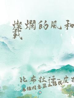 灿烂的风和海下载