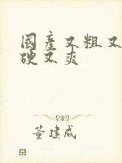 国产又粗又黄又硬又爽