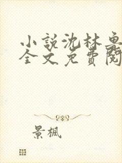 小说沈林鲁小荣全文免费阅读