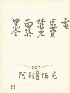 黑白禁区电视剧全集免费