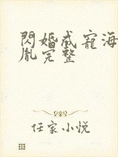 闪婚成宠海彤战胤完整