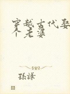 穿越古代娶了三个老婆