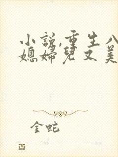小说,重生八零媳妇儿又美又飒