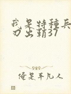 我是特种兵之利刃出鞘37