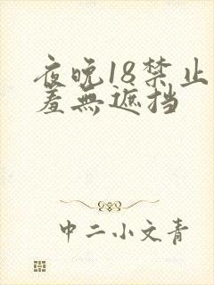 夜晚18禁止羞羞无遮挡