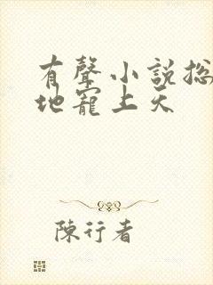 有声小说总裁爹地宠上天