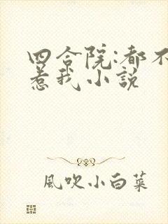 四合院:都不要惹我小说