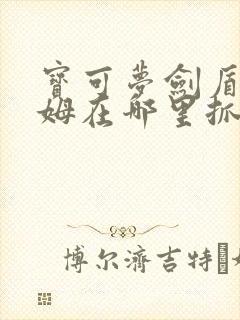 宝可梦剑盾洛托姆在哪里抓