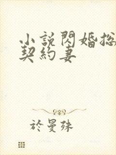小说闪婚总裁的契约妻