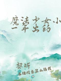 魔法少女小圆哪一年出的