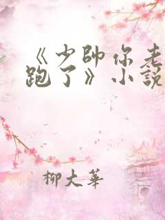 《少帅你老婆又跑了》小说