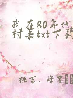 我在80年代当村长txt下载