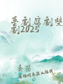 台剧腐剧双男主剧2025