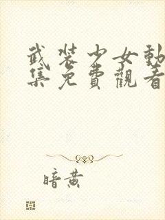 武装少女动漫全集免费观看