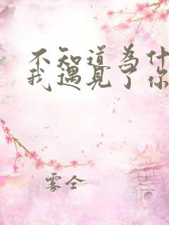 不知道为什么让我遇见了你是什么歌