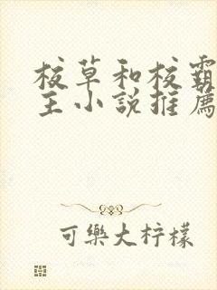 校草和校霸双男主小说推荐