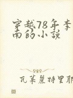 穿越78年李向南的小说