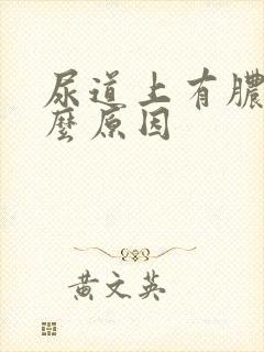 尿道上有脓是什么原因