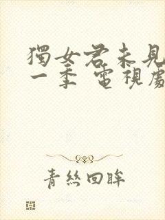 独女君未见 第一季 电视剧