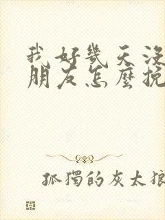 我好几天没理女朋友怎么挽回