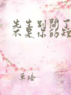 先生别闹了新娘不是你的短剧全集在线观看