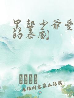 黑帮少爷爱上我的泰剧