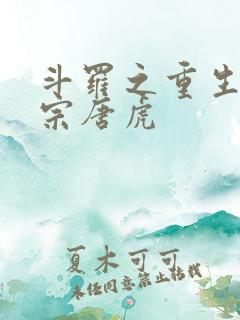 斗罗之重生昊天宗唐虎