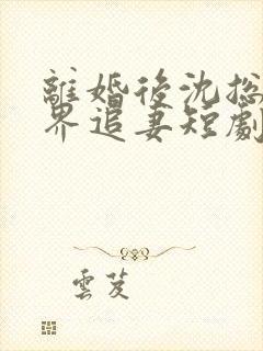 离婚后沈总满世界追妻短剧