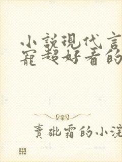 小说现代言情甜宠超好看的有肉