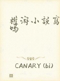 权游小说写完了吗