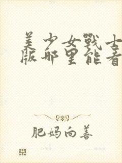 美少女战士国语版哪里能看