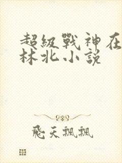 超级战神在都市林北小说