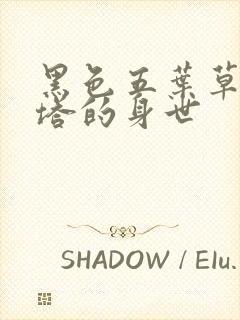 黑色五叶草阿斯塔的身世