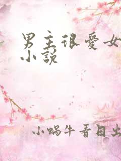 男主很爱女主的小说
