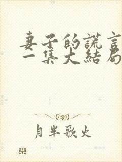 妻子的谎言最后一集大结局