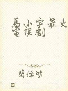 马小宇最火十部电视剧