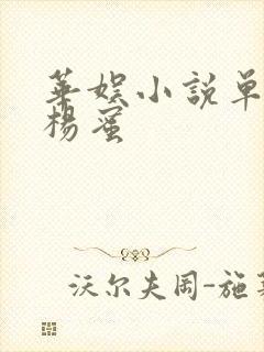 华娱小说单女主杨蜜