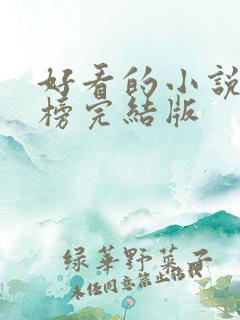 好看的小说排行榜完结版