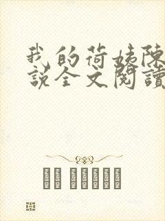 我的荷姨陈东小说全文阅读