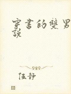 穿书的双男主小说