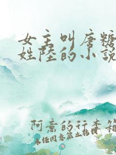 女主叫唐糖男主姓陆的小说