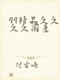 99精品久久久久久国产