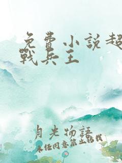 免费小说超级特战兵王