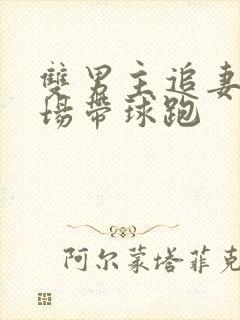 双男主追妻火葬场带球跑