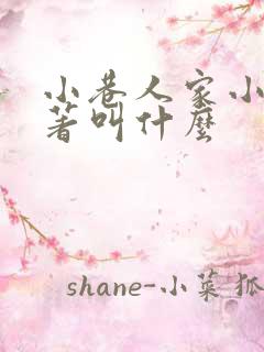 小巷人家小说原著叫什么