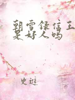 朝雪录信王世子是好人吗