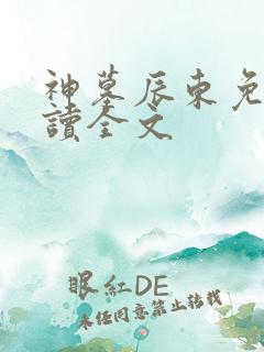 神墓辰东免费阅读全文
