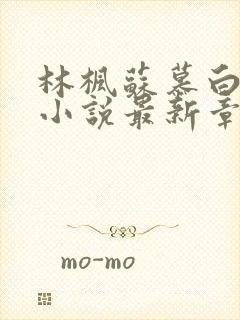 林枫苏慕白穿越小说最新章节