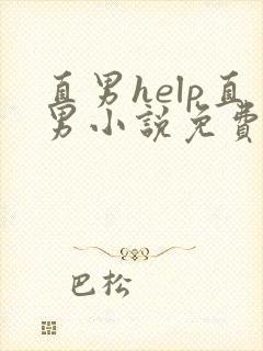 直男help直男小说免费阅读全文txt