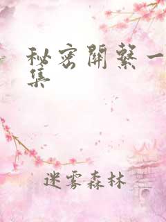 秘密关系一共几集